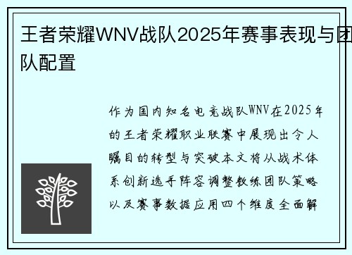王者荣耀WNV战队2025年赛事表现与团队配置