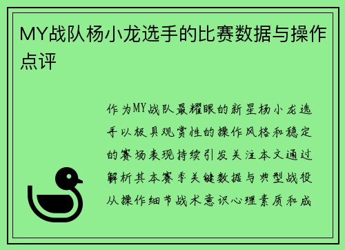 MY战队杨小龙选手的比赛数据与操作点评